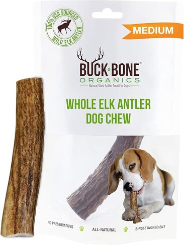 Buck Bone Organics Dog Chews, Elk Antlers for Dogs, Long Lasting Dog Bones for Aggressive Chewers, All Natural, No Preservatives, Wild Shed in The USA (Large) in Saudi Arabia