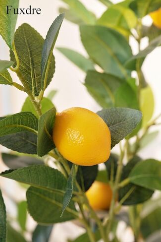 شجرة ليمون صناعية بطول 4 أقدام مع نباتات أرضية ليمون وهمية صناعية للديكور الواقعي في المنزل والمكتب شجرة ليمون صناعية، أصفر in Kuwait