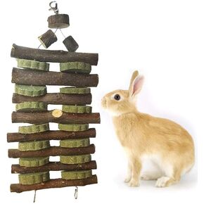 kathson Chinchilla Treats, Bunny Chew Toys for Rabbits Teeth Grinding, Natural Apple Wood Guinea Pigs Treats, Sticks for Rodent Pets Rats Hamsters Dwarf Rabbits Squirrels and Gerbils