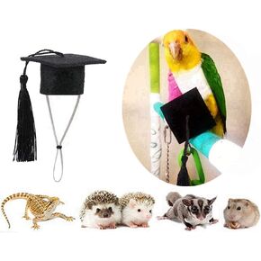 Small Animal Graduation Caps Mini Bachelor Hats with Bright Tassel Costume for Guinea Pigs,Hedgehog,Bird,Turtles,Hamster,Bearded Dragon,Rabbit,Ferret Photo Props Hat Holiday Costume Accessory (Blue) in Saudi Arabia