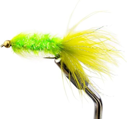 OCEAN CAT Bead Head Wooly Bugger Fly Fishing Flies for Trout and Freshwater Fish Wet Flies, 12 Pcs/Dozen in Kuwait