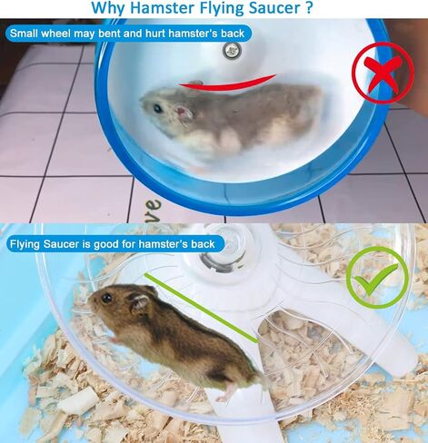 Hamster Flying Saucer, Hamster Wheel Mouse Spinner Wheel with Guinea Pig Water Feeder Bottle, Gerbils Ceramic Food Bowl, Total 3 Pack in Saudi Arabia
