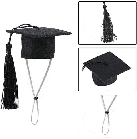 قبعات التخرج للحيوانات الصغيرة، قبعات بكالوريوس صغيرة مع زي شرابة ساطعة لخنازير غينيا، القنفذ، الطيور، السلاحف، الهامستر، التنين الملتحي، الأرانب، صور الدعائم النمس، قبعة إكسسوار أزياء العطلة (أزرق) in Saudi Arabia