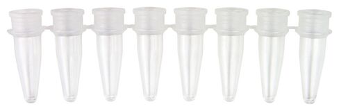 Caplugs Evergreen 214-3456-R80 PCR Tubes in Strips of 8. 0.2 mL, Polypropylene Co-Polymer, Red in Saudi Arabia