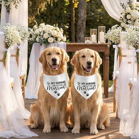 Engagement Gift, My Humans are Getting Married Dog Bandana, Wedding Photo Prop, Pet Scarf, Dog Engagement Announcement Gifts for Couples, Pet Accessories,White in Kuwait