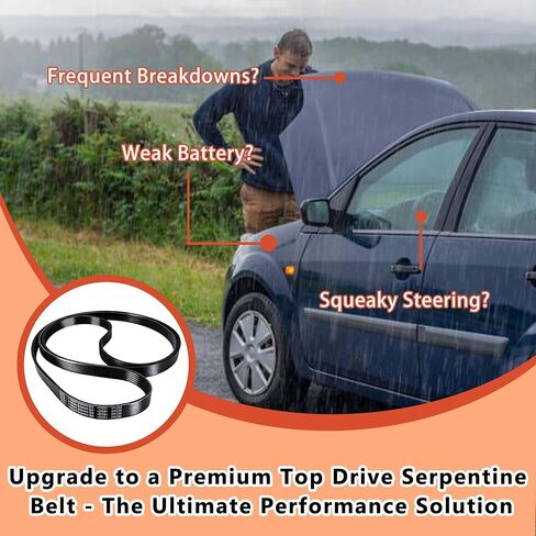 12637204 حزام محرك اعوج EPDM | متوافق مع تشيفي سيلفرادو/سوبربان/تاهو/جي إم سي سييرا/يوكون/سافانا/كاديلاك إسكاليد - يناسب 4.8L 5.3L 6.0L V8 | يستبدل 6PK2365 6K930، 5060930 in Kuwait