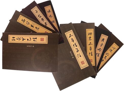 LUOZZY 8Pcs Decorative Faux Books Chinese Style Fake Books Realistic Book Models Fake Decorative Book Models Home Office Books Decorations in Saudi Arabia