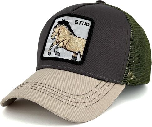 قبعة سائق الشاحنة الشبكية المطرزة للجنسين، قبعة بيسبول Snapback in Kuwait