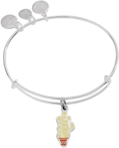Alex and Ani AS21HPILUM3RS، غلاف إضاءة هاري بوتر، كستنائي، فضي رافائيلي، أحمر، أساور in Saudi Arabia
