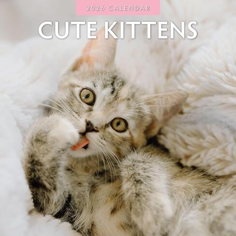 Red Robin 2026 Cute Kittens Monthly Wall Calendar | 12" x 24" Open | Premium Thick & Sturdy Paper | Hangable 12 Month Calendar | Lined Notes & To Do Area | Vivid Images | Plastic Free in Saudi Arabia