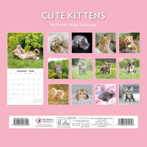Red Robin 2026 Cute Kittens Monthly Wall Calendar | 12" x 24" Open | Premium Thick & Sturdy Paper | Hangable 12 Month Calendar | Lined Notes & To Do Area | Vivid Images | Plastic Free in Saudi Arabia