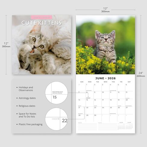 Red Robin 2026 Cute Kittens Monthly Wall Calendar | 12" x 24" Open | Premium Thick & Sturdy Paper | Hangable 12 Month Calendar | Lined Notes & To Do Area | Vivid Images | Plastic Free in Saudi Arabia