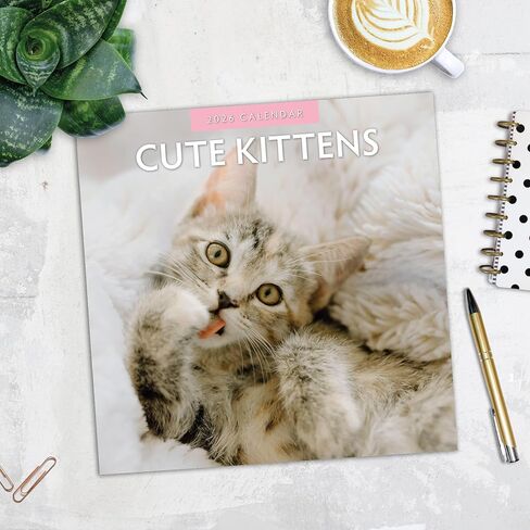Red Robin 2026 Cute Kittens Monthly Wall Calendar | 12" x 24" Open | Premium Thick & Sturdy Paper | Hangable 12 Month Calendar | Lined Notes & To Do Area | Vivid Images | Plastic Free in Saudi Arabia
