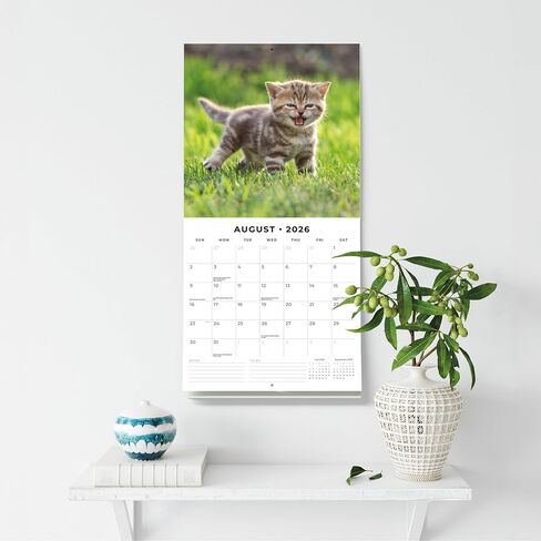 Red Robin 2026 Cute Kittens Monthly Wall Calendar | 12" x 24" Open | Premium Thick & Sturdy Paper | Hangable 12 Month Calendar | Lined Notes & To Do Area | Vivid Images | Plastic Free in Saudi Arabia