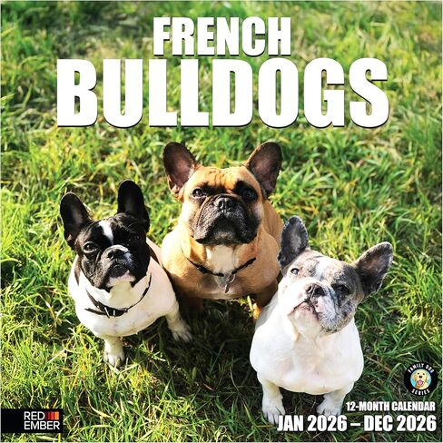 RED EMBER French Bulldogs 2026 Wall Calendar 12 Month | 12" x 24" Open | Thick & Sturdy Paper | Holiday Gift | Cute Frenchie Puppy Dog Calendar 2026 in Saudi Arabia