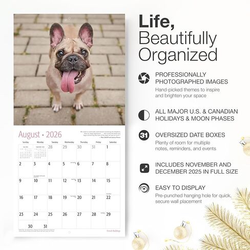 RED EMBER French Bulldogs 2026 Wall Calendar 12 Month | 12" x 24" Open | Thick & Sturdy Paper | Holiday Gift | Cute Frenchie Puppy Dog Calendar 2026 in Saudi Arabia