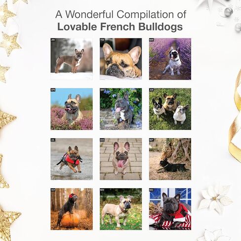 RED EMBER French Bulldogs 2026 Wall Calendar 12 Month | 12" x 24" Open | Thick & Sturdy Paper | Holiday Gift | Cute Frenchie Puppy Dog Calendar 2026 in Saudi Arabia