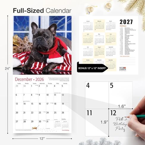 RED EMBER French Bulldogs 2026 Wall Calendar 12 Month | 12" x 24" Open | Thick & Sturdy Paper | Holiday Gift | Cute Frenchie Puppy Dog Calendar 2026 in Saudi Arabia