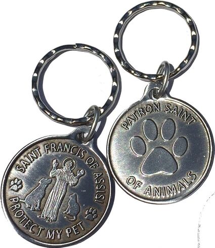 RecoveryChip Saint Francis of Assisi Patron Saint Of Pets Protect My Pet Pewter Color Keychain 34mm in Saudi Arabia
