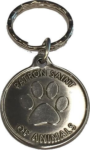 RecoveryChip Saint Francis of Assisi Patron Saint Of Pets Protect My Pet Pewter Color Keychain 34mm in Saudi Arabia