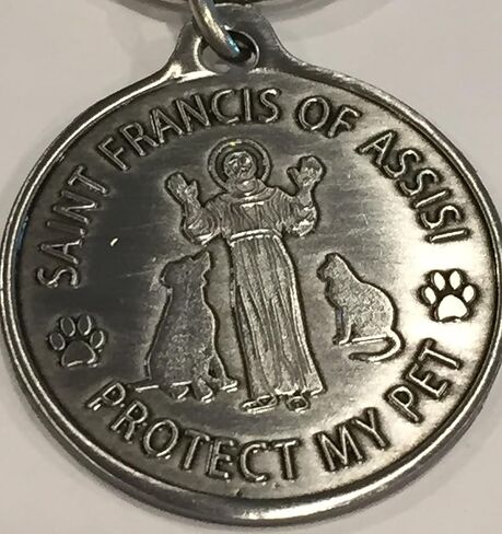 RecoveryChip Saint Francis of Assisi Patron Saint Of Pets Protect My Pet Pewter Color Keychain 34mm in Saudi Arabia