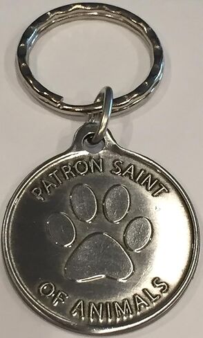RecoveryChip Saint Francis of Assisi Patron Saint Of Pets Protect My Pet Pewter Color Keychain 34mm in Saudi Arabia