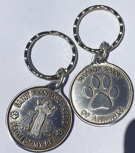 RecoveryChip Saint Francis of Assisi Patron Saint Of Pets Protect My Pet Pewter Color Keychain 34mm in Saudi Arabia