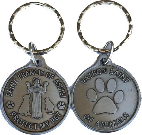 RecoveryChip Saint Francis of Assisi Patron Saint Of Pets Protect My Pet Pewter Color Keychain 34mm in Saudi Arabia