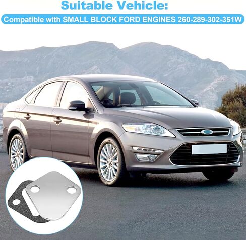 بديل Earthtec لكتلة صغيرة من مضخة الوقود Ford Blockk Off Chrom Steel 260 289 302 351W 2058 in Kuwait