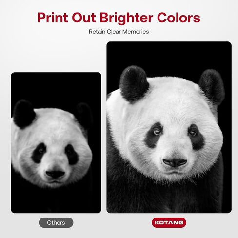 خرطوشة حبر سوداء PG-275XL بديلة لخرطوشة الحبر السوداء Canon PG-275 لطابعات Pixma TS3722 TR4720 TS3700 TR4700 TS3522 TR4722 TS3500 TS3720 TS3700 TS3520 TR4723 (2 أسود) in Kuwait