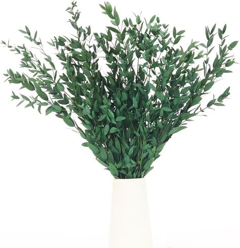 Preserved Real Eucalyptus Leaves Branches, 7-12 Pcs Fine Leaf Eucalyptus Greenery for Home Decor - Vase Filler, Wedding Centerpieces, Floral Arrangements, Crafting (14''-17'', Green) in Saudi Arabia