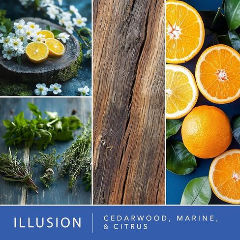 ScentSationals Illusion Fragrance Oil Plug In Air Freshener Refills 3-Pack - Works with Scentsationals Wall Plugs, Long-Lasting Home Fragrance, 0.8 fl oz Each, Packaging May Vary in Saudi Arabia