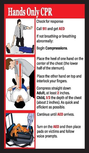 مجموعة من البطاقات المرجعية للإنعاش القلبي الرئوي والجيب المختنق للبالغين/الأطفال، مجموعة من 50 in Kuwait