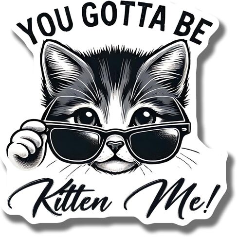 Cute Cat Magnet for Fridge - Funny Kitchen Decor - You Gotta Car Magnet Be Kitten Me - Gift for Cat Lovers - Adorable Cat Kitchen Accessory - AAMT1660 in Saudi Arabia