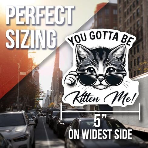 Cute Cat Magnet for Fridge - Funny Kitchen Decor - You Gotta Car Magnet Be Kitten Me - Gift for Cat Lovers - Adorable Cat Kitchen Accessory - AAMT1660 in Saudi Arabia