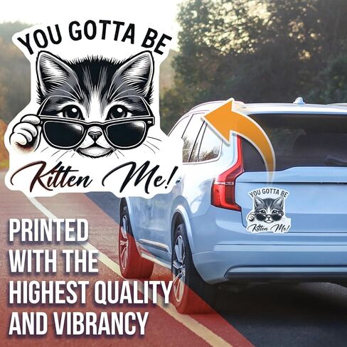 Cute Cat Magnet for Fridge - Funny Kitchen Decor - You Gotta Car Magnet Be Kitten Me - Gift for Cat Lovers - Adorable Cat Kitchen Accessory - AAMT1660 in Saudi Arabia