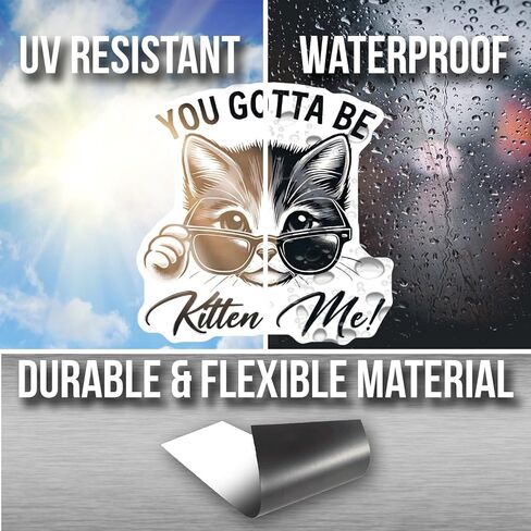 Cute Cat Magnet for Fridge - Funny Kitchen Decor - You Gotta Car Magnet Be Kitten Me - Gift for Cat Lovers - Adorable Cat Kitchen Accessory - AAMT1660 in Saudi Arabia