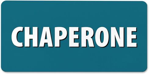 CHAPERONE Name Tag White with Magnetic Backing - Standard Heavy Duty 5 Pcs - Spill & Scratch Proof - Made in USA by BadgeZoo in Saudi Arabia