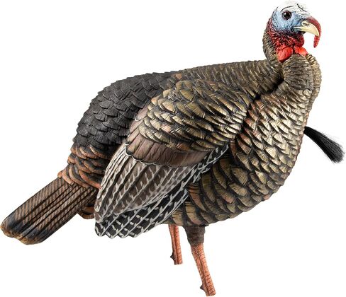 Avian-X HDR Jake Turkey Decoy | Rugged Durable Realistic Lifelike Quarter-Strut Body Standing Hunting Decoy with 2 Removable Heads, Mounting Stake & Carry Bag in Kuwait