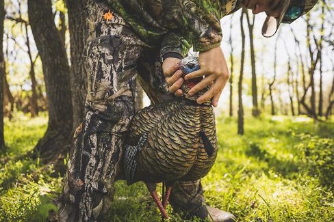 Avian-X HDR Jake Turkey Decoy | Rugged Durable Realistic Lifelike Quarter-Strut Body Standing Hunting Decoy with 2 Removable Heads, Mounting Stake & Carry Bag in Kuwait