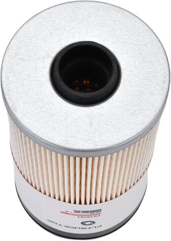 FS19761 Fuel Filter Compatible with HINO TRUCKS 238 258 268 338 SERIES,Fits for International-7600/WorkStar 7600 Replaces WF10311 PF7894 L9721FXL 102529 23304E0020 in Saudi Arabia