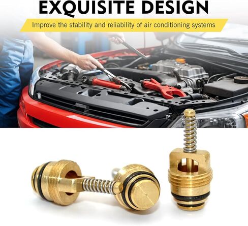طقم أساسي لصمام تكييف الهواء مكون من 16 قطعة، مجموعة صمامات التيار المتردد R134A وغطاء الختم، طقم إصلاح منفذ خدمة تكييف الهواء العالمي، للسيارات والشاحنات وسيارات الدفع الرباعي (أسود) in Kuwait
