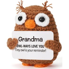 هدايا حفيدة البومة المضحكة الصغيرة من الجدة، هدايا عيد الميلاد المجيد، هدايا التخرج للحفيدة من الأجداد، هدية فتاة مراهقة، بومة كروشيه عاطفية مصنوعة يدويًا in Kuwait