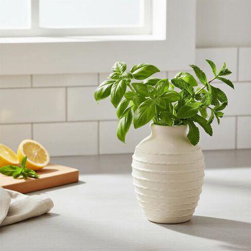 مزهرية سيراميك بيضاء صغيرة مقاس 6.6 بوصة، مزهرية زخرفية لبيت المزرعة بوهو لقطعة الطاولة المركزية، الرف، ديكور غرفة المعيشة in Kuwait