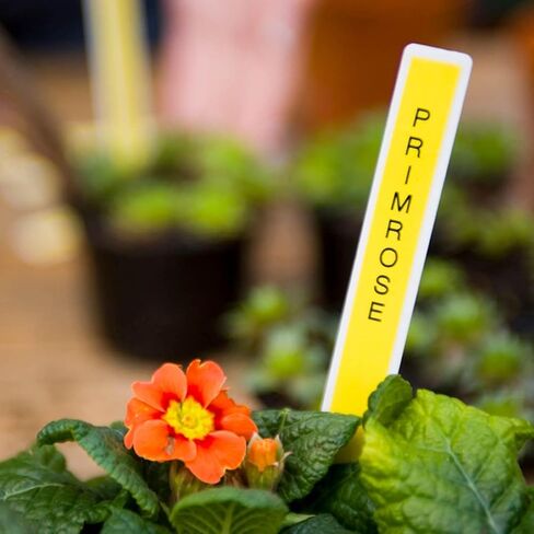 شريط لاصق قياسي من Brother TZE631 TZe، مقاس 1/2 بوصة، أسود على أصفر in Kuwait