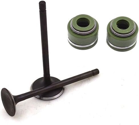 Generic Intake Exhaust Valve Stem & Oil Seal for HONDA CRF150F CRF230F CRF230 L M SL230 XR230 FTR223 CTX200 Shadow TA200 Phantom in Saudi Arabia
