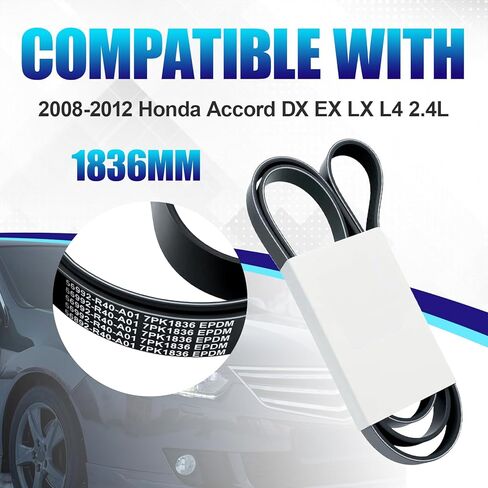 56992R40A01 Engine Serpentine Drive Belt Compatible with Honda Accord L4 2.4L 2008 2009 2010 2011 2012, Replacement for 56992R40A01 56992R40A02 K070721 7PK1835, V-Ribbed Belt 1836MM 7PK1836 in Saudi Arabia