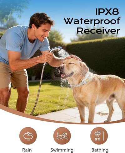 2 Sets of Long & Short Silicone Caps and Metal Prongs for DT61 Dog Training Collar in Kuwait