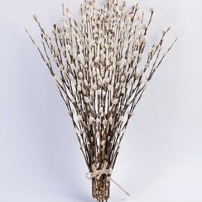 45 Stems 17＂Real Dried Pussy Willow Branches for Vase，100% Natural PussyWillows with White Flowers, Snow Willow Branches for Indoor and Outdoor Decor, Wedding Home Party Hotel Fireplace Yard