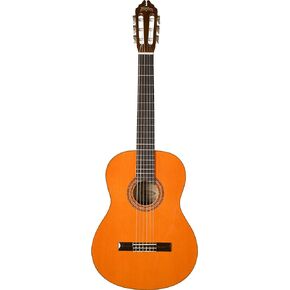 Washburn Classical C5, Acoustic Guitar